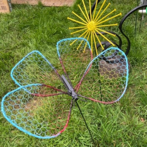 vlinder en zon